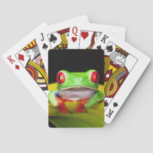 Red Eye Treefrog, Agalychinis callidryas, Native Playing Cards