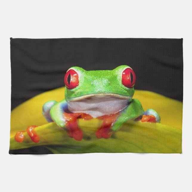 Red Eye Treefrog, Agalychinis callidryas, Native Tea Towel (Horizontal)