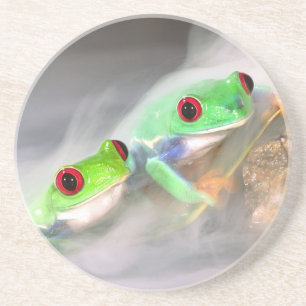 Red Eye Treefrog in the mist, Agalychinis 2 Coaster