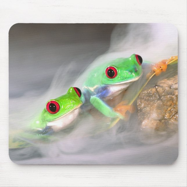 Red Eye Treefrog in the mist, Agalychinis 2 Mouse Mat (Front)