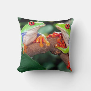 Red Eye Treefrog Pair, Agalychinis callidryas, Cushion