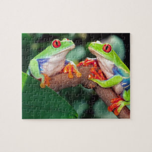 Red Eye Treefrog Pair, Agalychinis callidryas, Jigsaw Puzzle