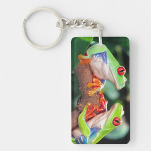 Red Eye Treefrog Pair, Agalychinis callidryas, Key Ring