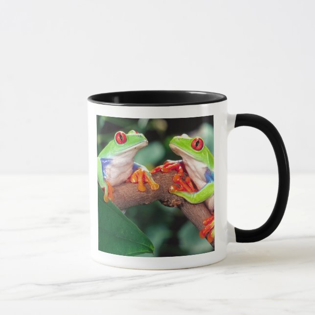 Red Eye Treefrog Pair, Agalychinis callidryas, Mug (Right)