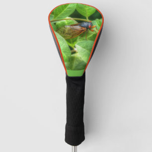 Red Eyed Cicada  Golf Head Cover