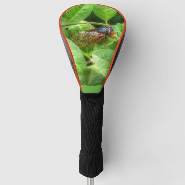 Red Eyed Cicada  Golf Head Cover (Front)
