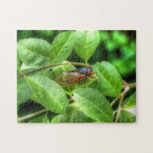 Red Eyed Cicada Jigsaw Puzzle