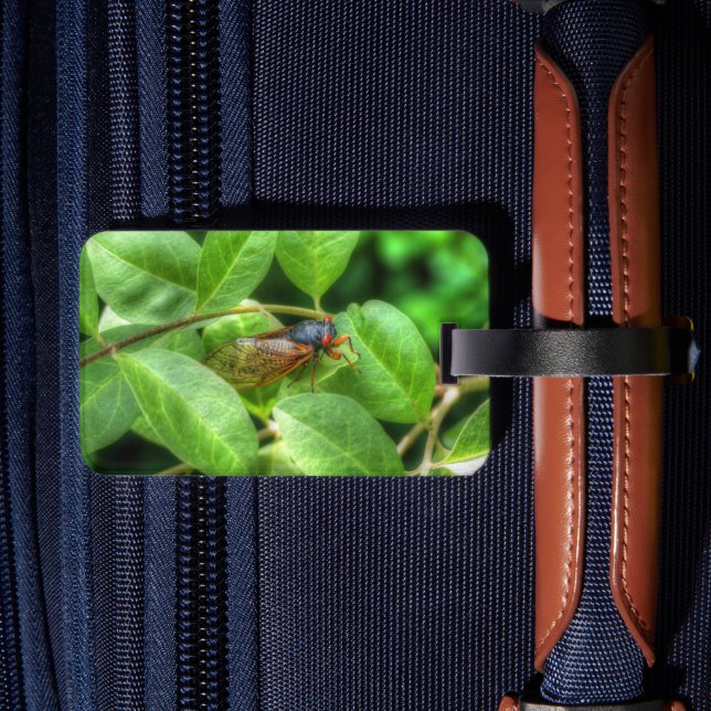 Red Eyed Cicada  Luggage Tag (Back Insitu 2)