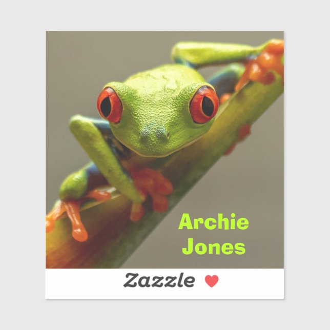 Red-Eyed Frog Looking at You Photo Personalised (Sheet)