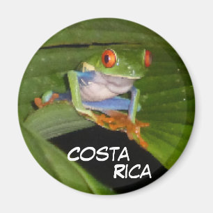 Red Eyed Gaudí Frog Customisable Magnet