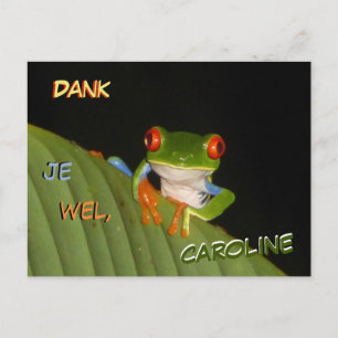 Red Eyed Gaudí Night Frog Thank You Postcard