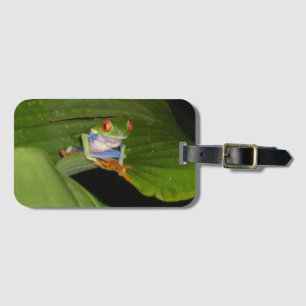 Red Eyed Gaudy Frog Luggage Tag