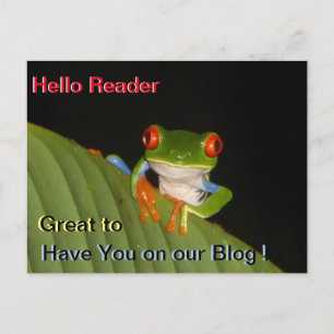 Red Eyed Gaudy Night Frog Promotional Postcard