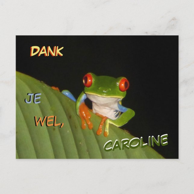 Red Eyed Gaudy Night Frog Thank You Postcard (Front)