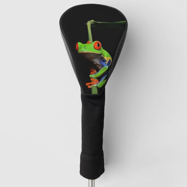Red Eyed Painted Frog Golf Head Cover (Front)