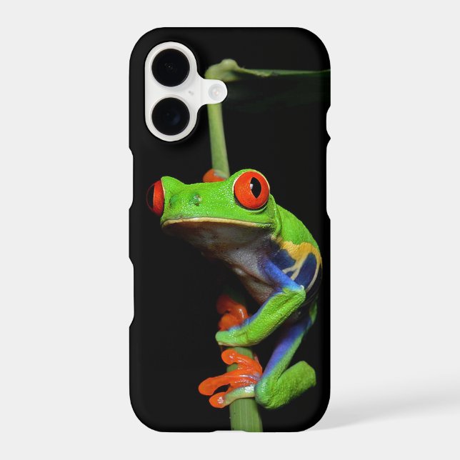 Red Eyed Painted Tree Frog (Back)