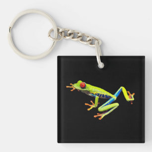 Red Eyed Painted Tree Frog  Key Ring