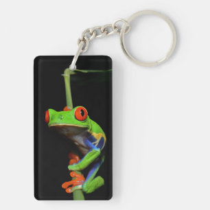 Red Eyed Painted Tree Frog Key Ring