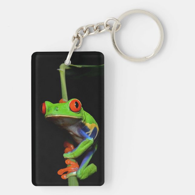 Red Eyed Painted Tree Frog Key Ring (Back)
