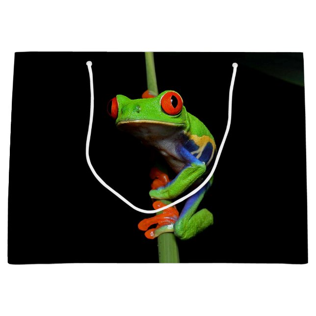 Red Eyed Painted Tree Frog Large Gift Bag (Front)