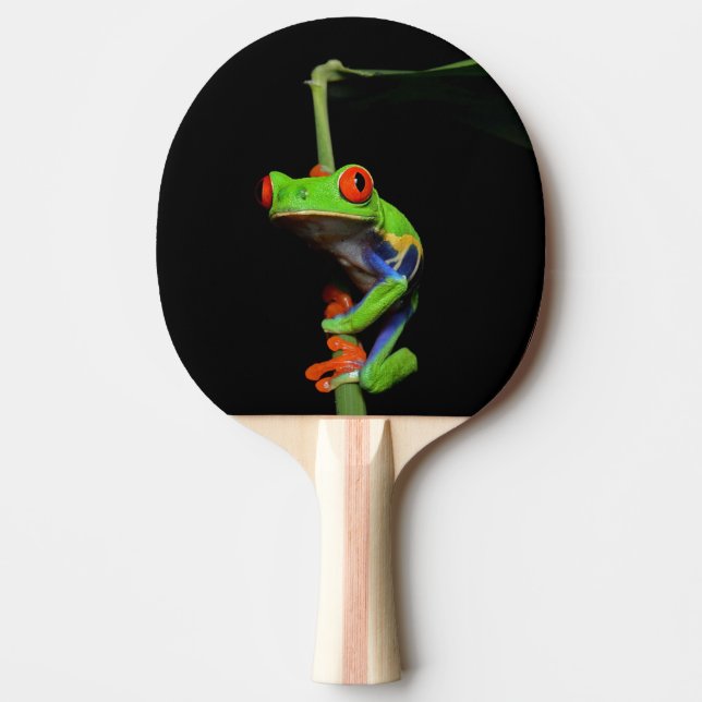 Red Eyed Painted Tree Frog Ping Pong Paddle (Front)