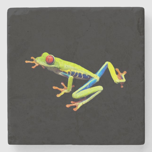 Red Eyed Painted Tree Frog  Stone Coaster (Front)