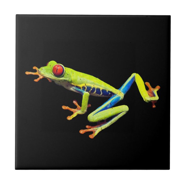Red Eyed Painted Tree Frog  Tile (Front)