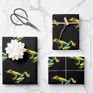 Red Eyed Painted Tree Frog  Wrapping Paper Sheet