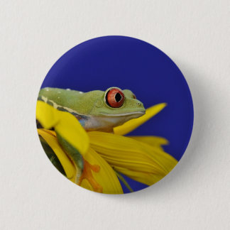 red eyed tree frog 6 cm round badge