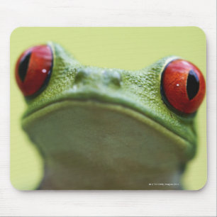 Red-eyed tree frog (Agalychnis callidryas) Mouse Mat