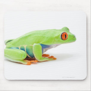 Red-Eyed Tree Frog (Agalychnis Callidryas) Mouse Mat