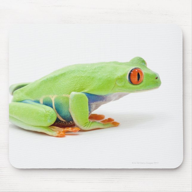 Red-Eyed Tree Frog (Agalychnis Callidryas) Mouse Mat (Front)