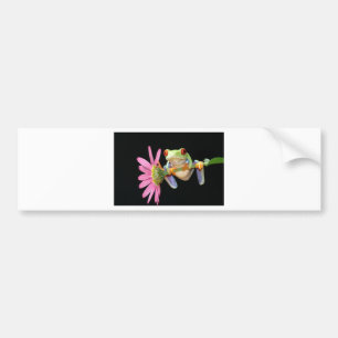 red eyed tree frog bumper sticker