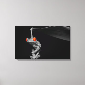 Red Eyed Tree Frog Canvas Print