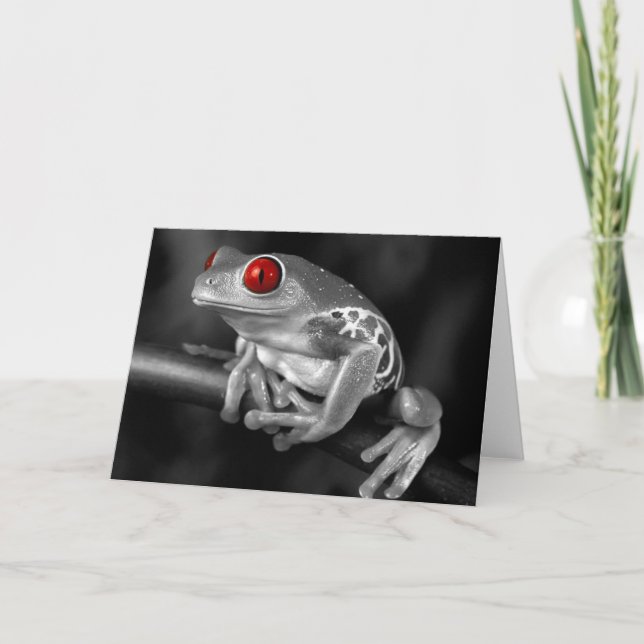 Red Eyed Tree Frog Card (Front)