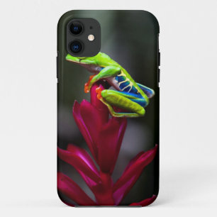 Red-eyed Tree Frog iPhone 11 Case