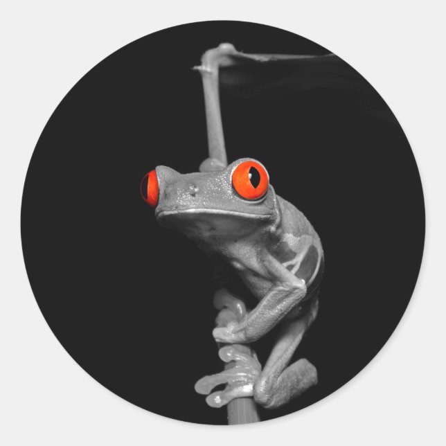 Red Eyed Tree Frog Classic Round Sticker (Front)