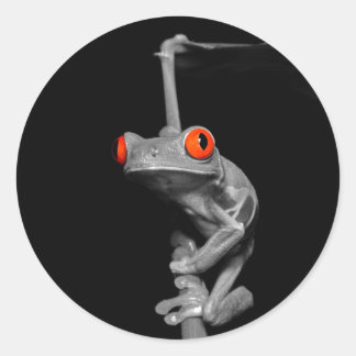 Red Eyed Tree Frog Classic Round Sticker