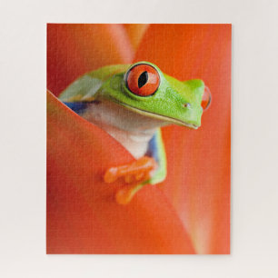 Red-eyed Tree Frog Close-up, Jigsaw Puzzle