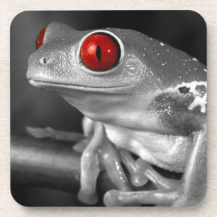 Red Eyed Tree Frog Coaster