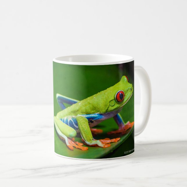 Red eyed tree frog coffee mug (Front Right)