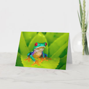 Red-eyed tree frog, Costa Rica Card