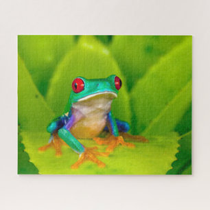 Red-eyed tree frog, Costa Rica Jigsaw Puzzle