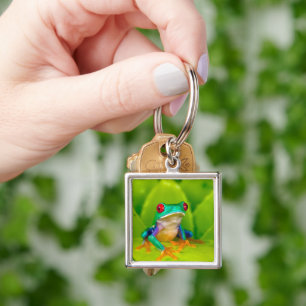 Red-eyed tree frog, Costa Rica Key Ring