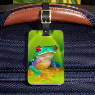 Red-eyed tree frog, Costa Rica Luggage Tag