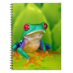Red-eyed tree frog, Costa Rica Notebook