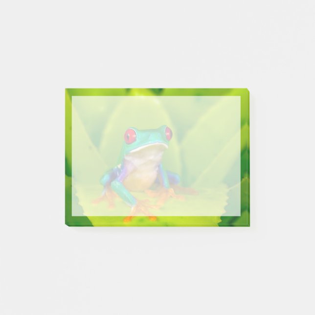 Red-eyed tree frog, Costa Rica Post-it Notes (Front)