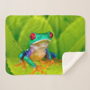 Red-eyed tree frog, Costa Rica Sherpa Blanket