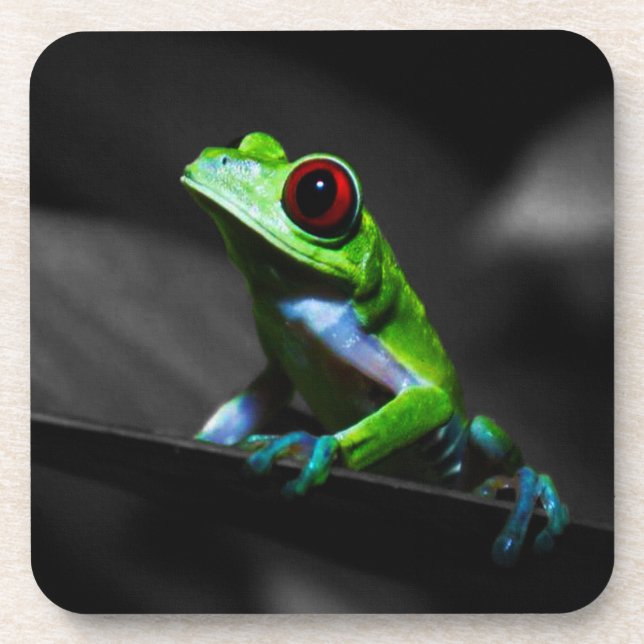 Red Eyed Tree Frog III Coaster (Front)
