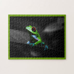 Red Eyed Tree Frog III Jigsaw Puzzle